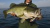 How_to_Find_the_Right_Depth_for_Bass.jpg